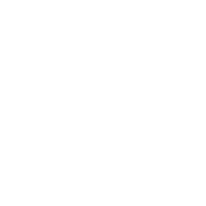 Vigin Music Group